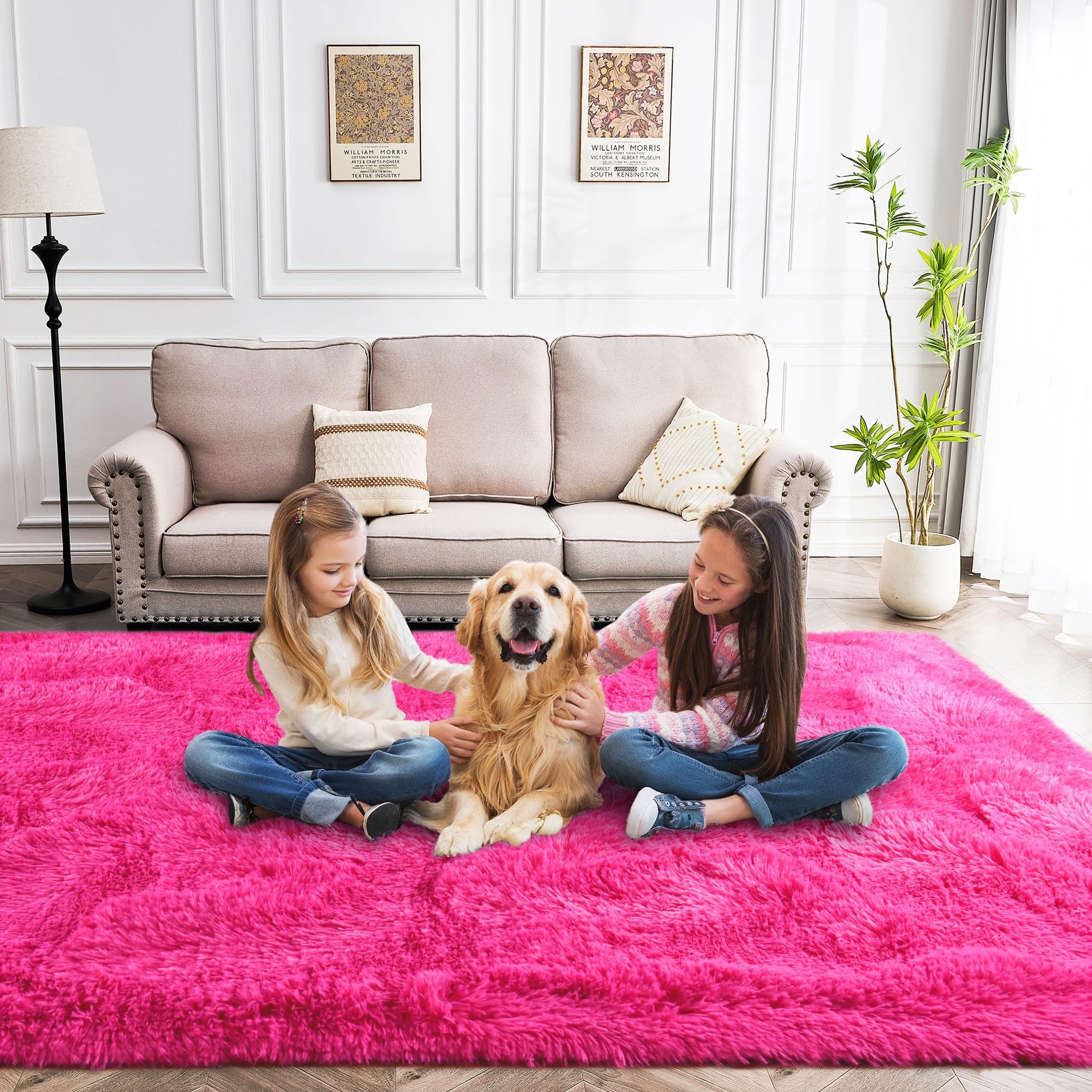 Amazon.com: Awaytail Fluffy Area Rug 9x12 Living Room, Hot Pink